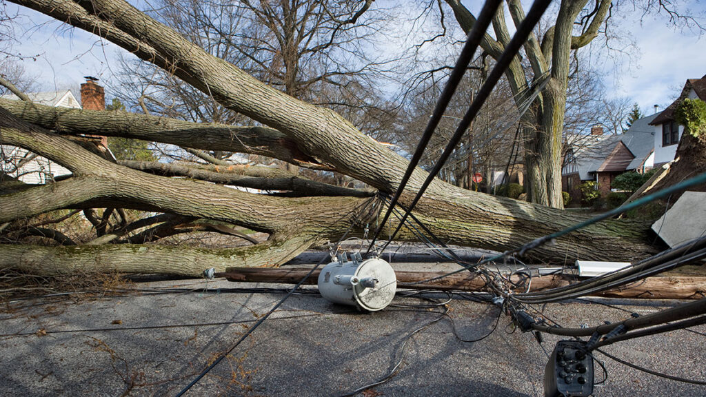 The current image has no alternative text. The file name is: fallentreeonpowerlines.jpg